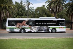 Quảng cáo xe bus Perth Zoo 