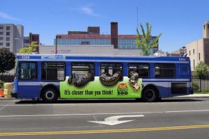 Báo giá quảng cáo xe bus