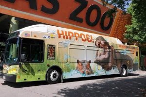 Hình ảnh quảng cáo cho sở thú có tên Dallas.