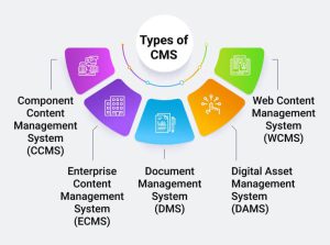 Hệ thống quản lý nội dung (CMS) là một phần quan trọng khác của hệ thống Martech. 