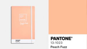 PANTONE 13-1023 Peach Fuzz gợi lên bầu không khí tĩnh lặng, truyền cảm hứng