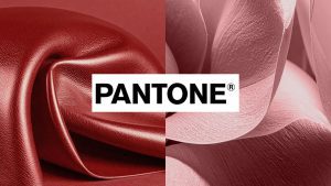 Vì sao màu sắc của Patone lại có sức ảnh hưởng?